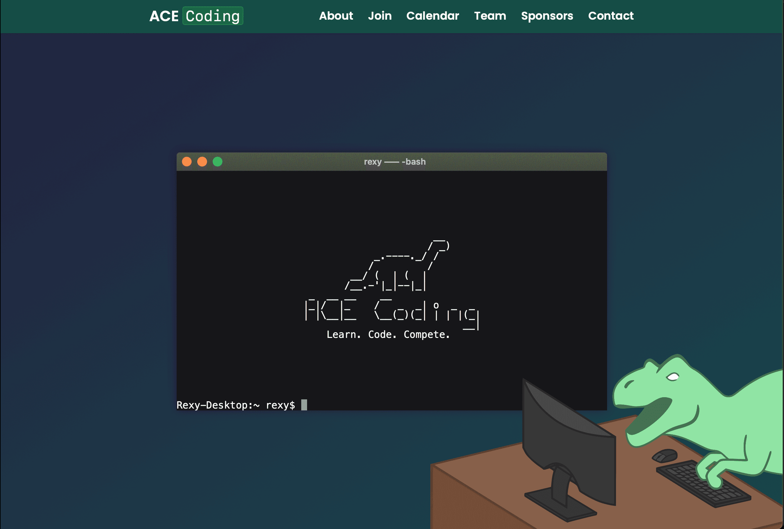 ACE Coding